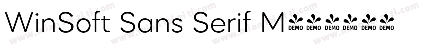 WinSoft Sans Serif M字体转换
